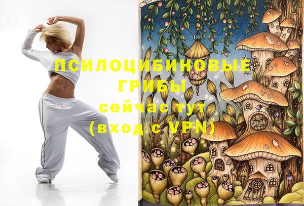 героин Краснослободск