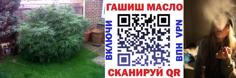 ТГК концентрат Купить закладки Буинск