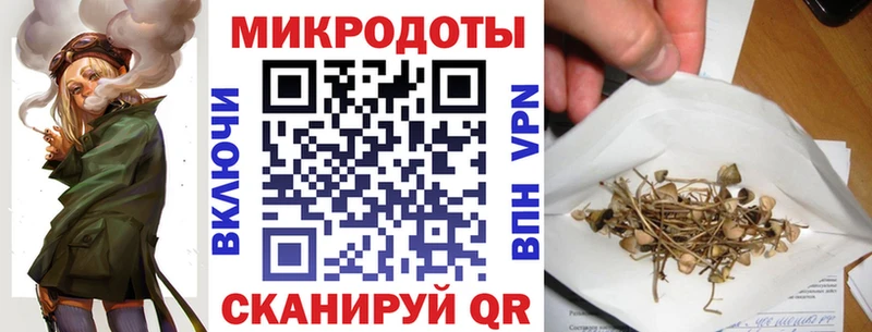 Купить  Буинск  Псилоцибиновые грибы Psilocybine cubensis 